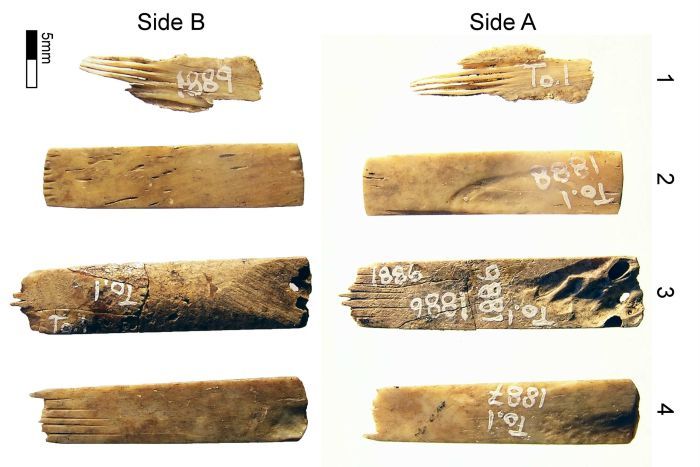 10873444 3x2 700x467 1