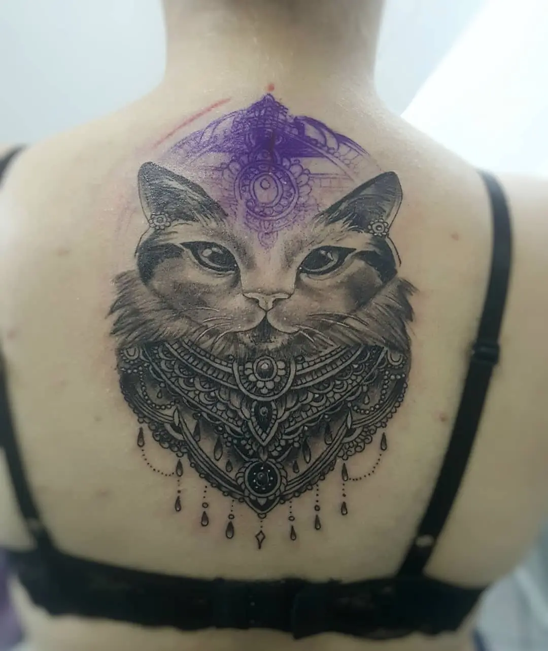 Galerías de Tatuajes Increíbles 8 ⚜️Erick Alves⚜️ 2019.03.07 Continua.. 🐈 Gatinho que rolou no @studiobodyskin . . . . . tattoo tattoos i