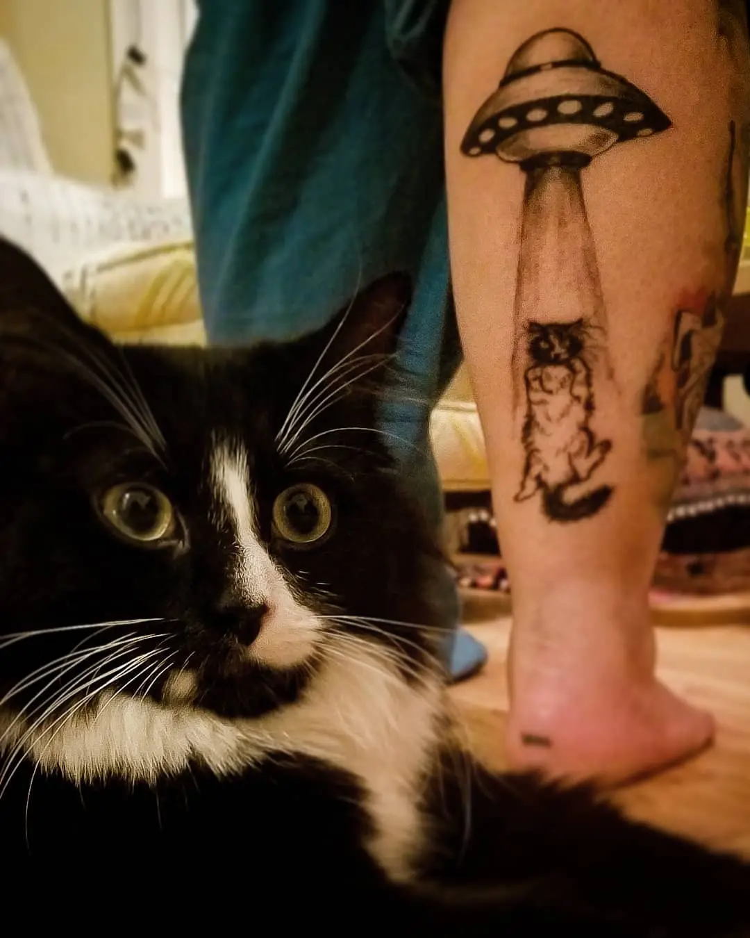 Galerías de Tatuajes Increíbles 32 Feliz 2019.03.16 Mama Coco approves...I think 😻😺🤔 . Thanks for sitting like a rock @jenny bel