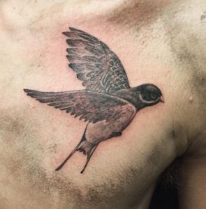 90 Tatuajes de Golondrinas Impresionantes 3 golondrina tattoo
