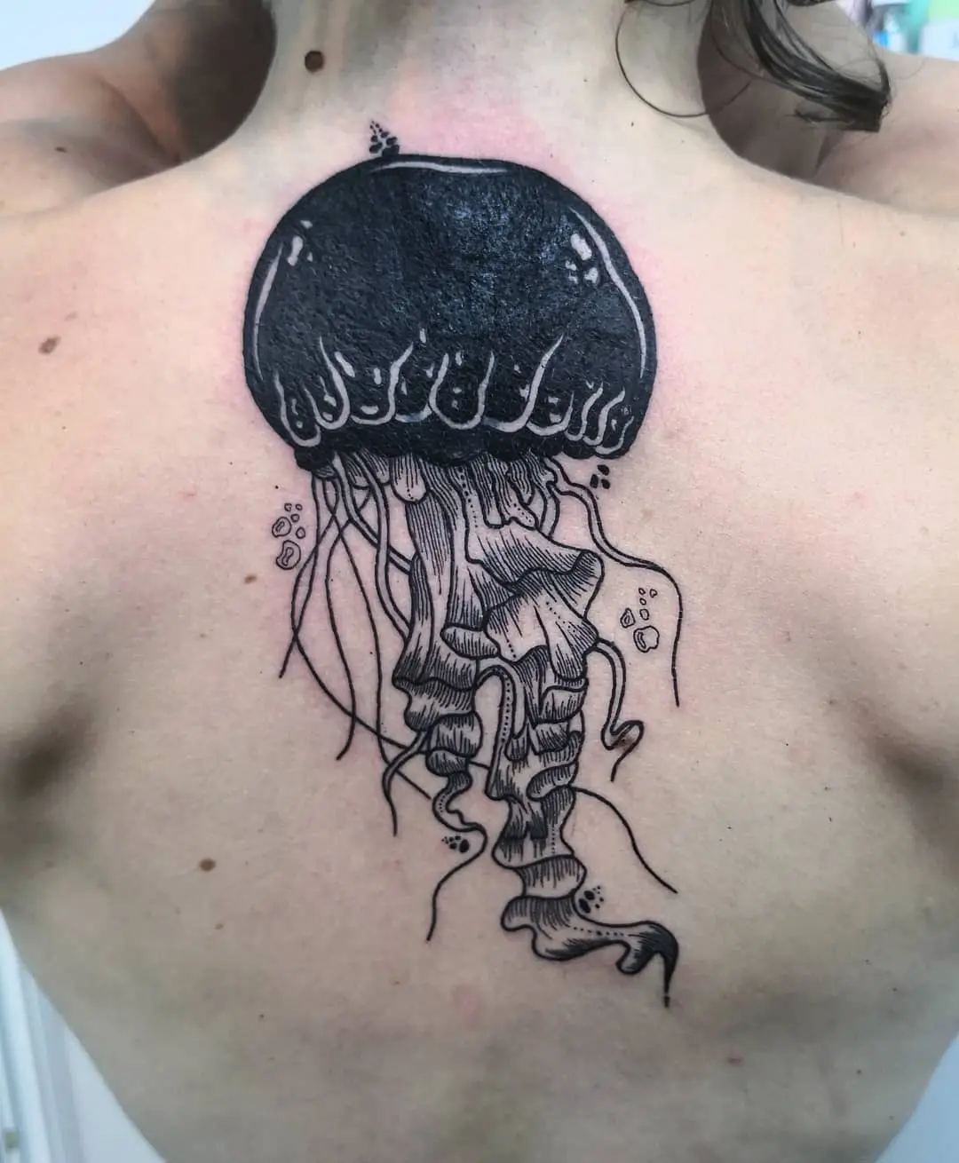 Galerías de Tatuajes Increíbles 38 ⚫ ELAK TATTOO ⚫ 2020.08.04 1 of 4 ✨ Medusa para @glupblupp 🦑🖤 Muchas gracias por la confianza y por el aguante 1
