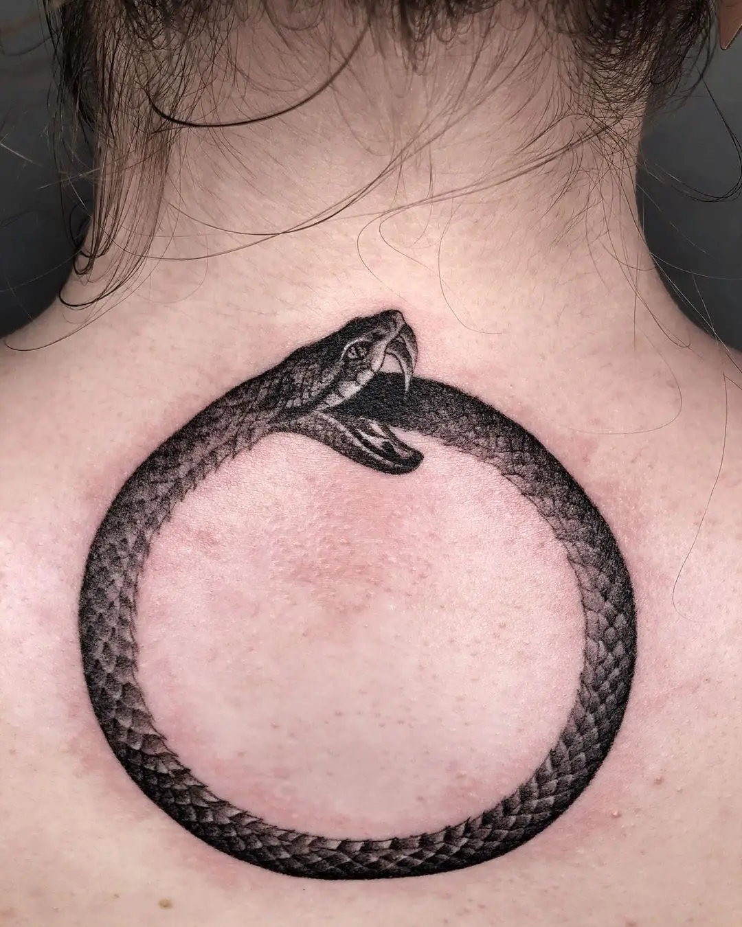 Galerías de Tatuajes Increíbles 19 𝔐𝔲𝔰𝔩𝔲𝔟𝔞𝔰𝔥 2020.08.01 2 of 2 ‘the ouroboros’🐍🔄 . . . theouroboroscycle ouroboros ouroborostattoo urobor