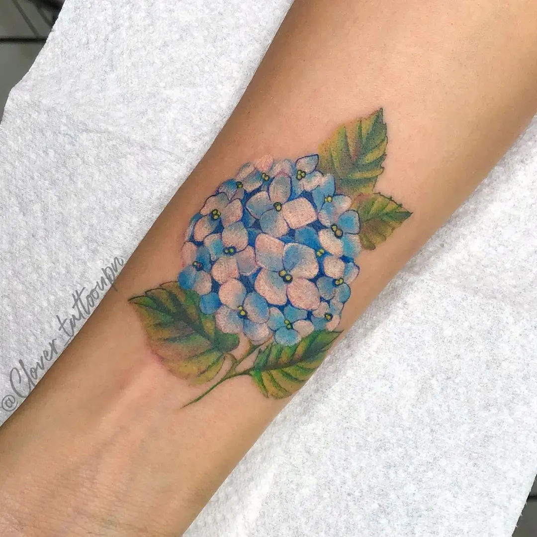 Galerías de Tatuajes Increíbles 70 𝕮𝖑𝖔𝖛𝖊𝖗 𝕿𝖆𝖙𝖙𝖔𝖔🍀 2020.07.24 2 of 3 Hydrangea🍃 👉🏻DESLIZA PARA VER ZOOM💙 Este tatuaje ya tiene varios meses se