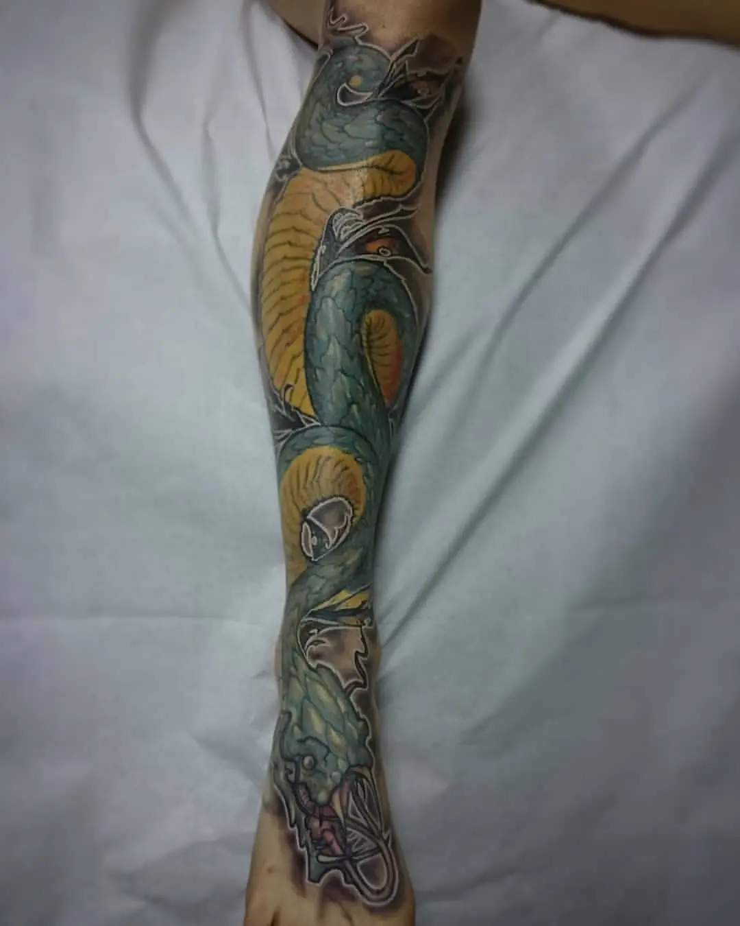 Galerías de Tatuajes Increíbles 68 Marco 2020.08.01 Questa è stata la prima vipera che ho tatuato ormai è passato qualche anno ma p 1