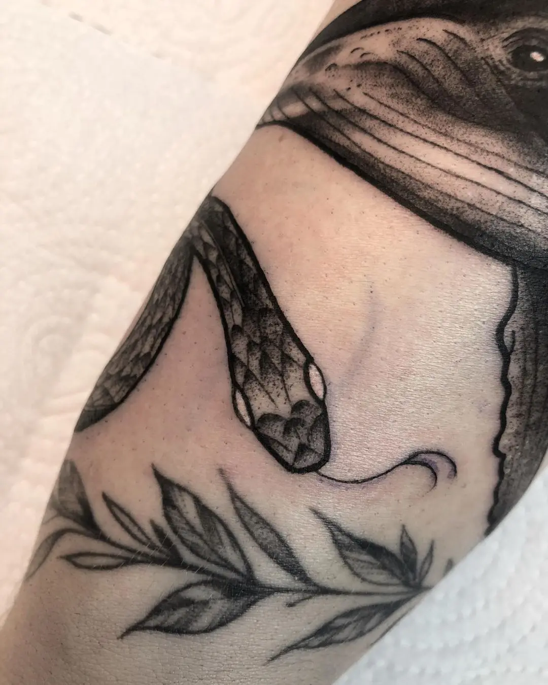 Galerías de Tatuajes Increíbles 72 Melissa Garcia 2020.08.01 4 of 6 Baleia e cobra freehand para @gabriela penteriche muito obrigada pela confiança