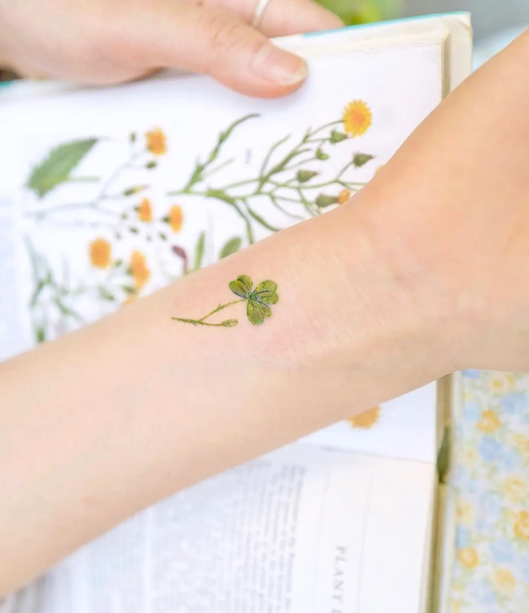 Galerías de Tatuajes Increíbles 58 STUDIOBYSOL ovenlee 2019.08.19 제 타투 스티커 도안으로 받아가셨어요 ☘️ @ovenlee.tattoo