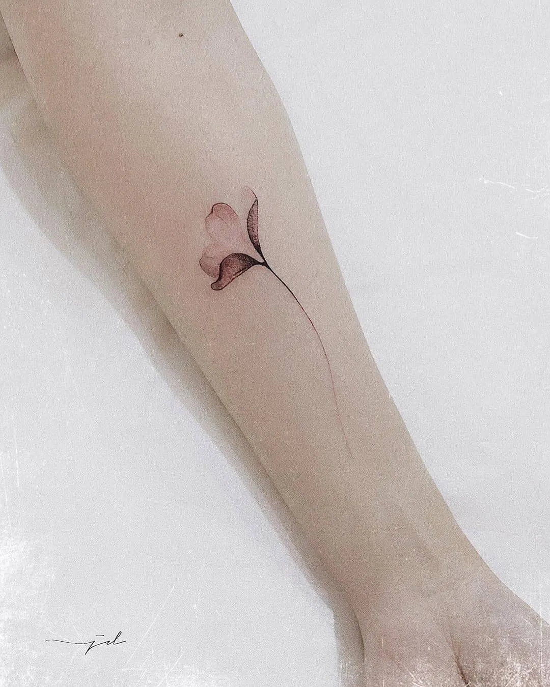 Galerías de Tatuajes Increíbles 60 TATTOO PIERSING ALMATY 2019.12.12 🍀 Мастер Юлия Димитриади 🎨 375 48 63 8 707 775 48 63