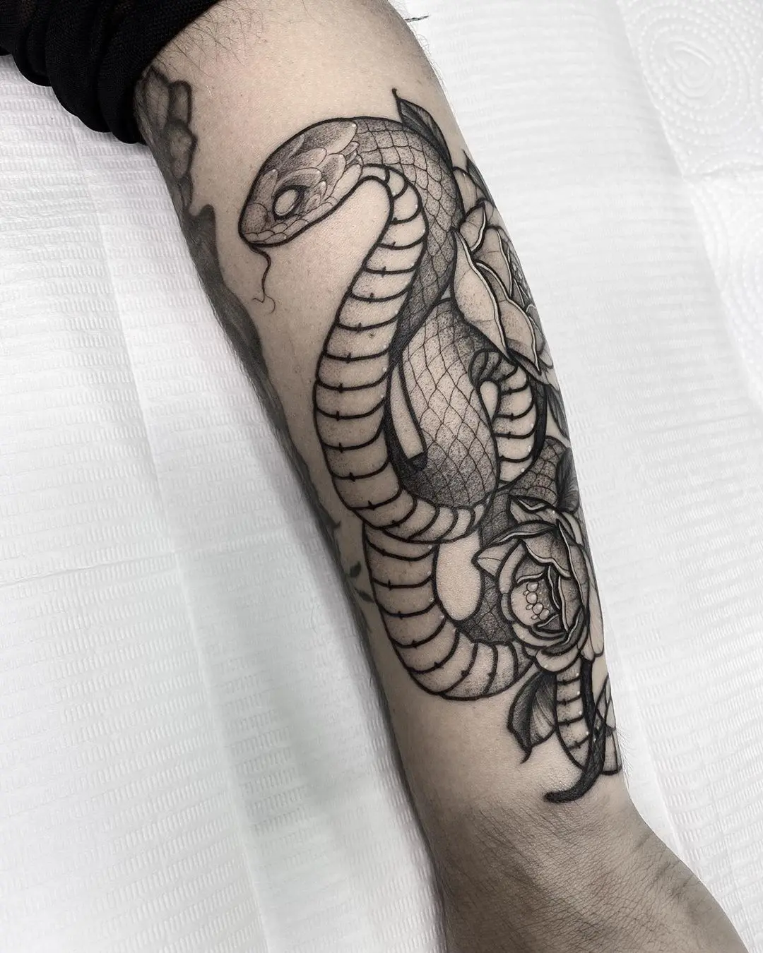 Galerías de Tatuajes Increíbles 6 Ted F. 2020.07.30 2 of 3 • Snake • Quer tatuar comigo Só mandar um e mail para tedf.agenda@gmail.com