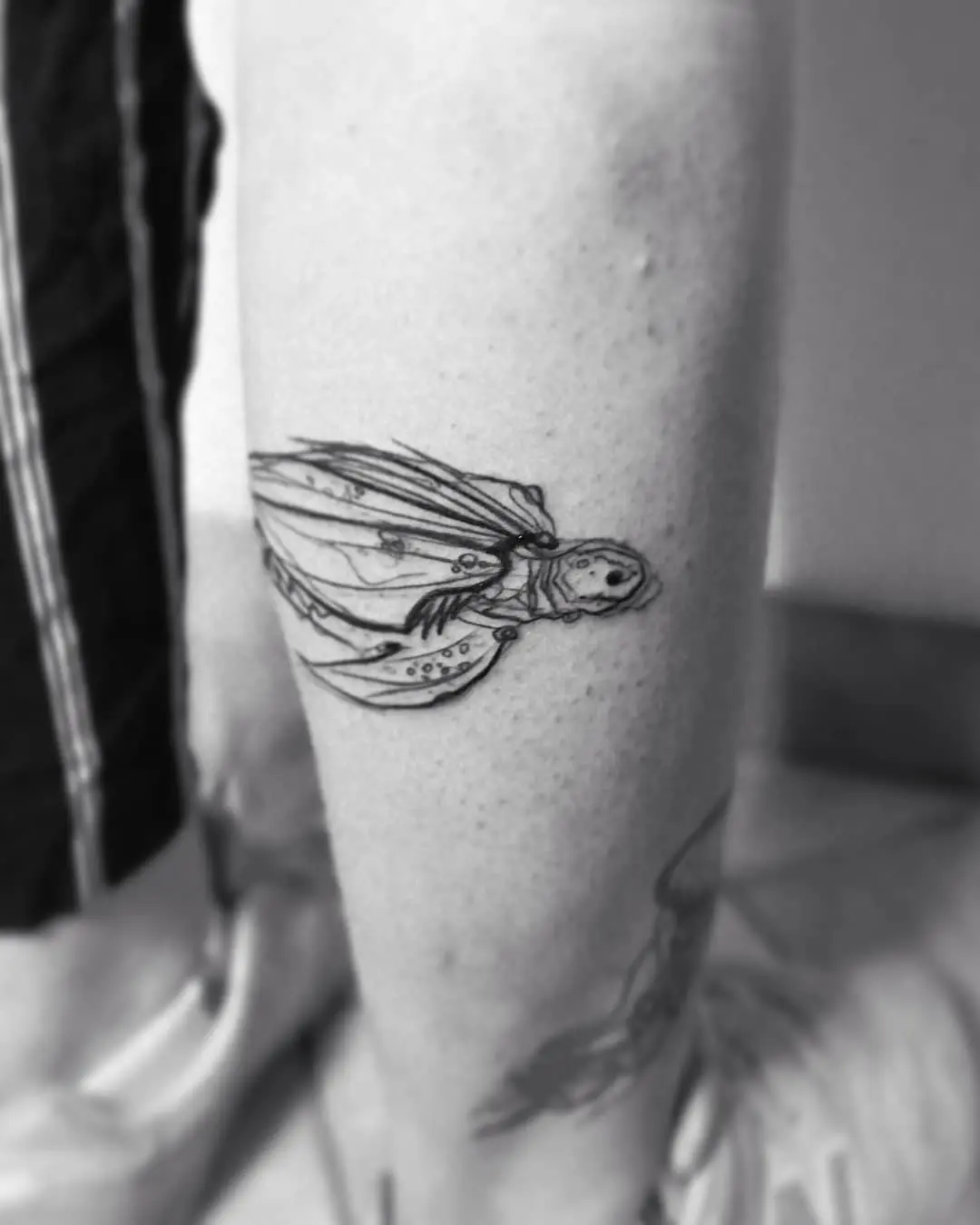 Galerías de Tatuajes Increíbles 5 2020.09.10 1 of 3 Zolw 🌚 A turtle . . dziarodziej sketchtattoo graphictsttoo drawingtattoo