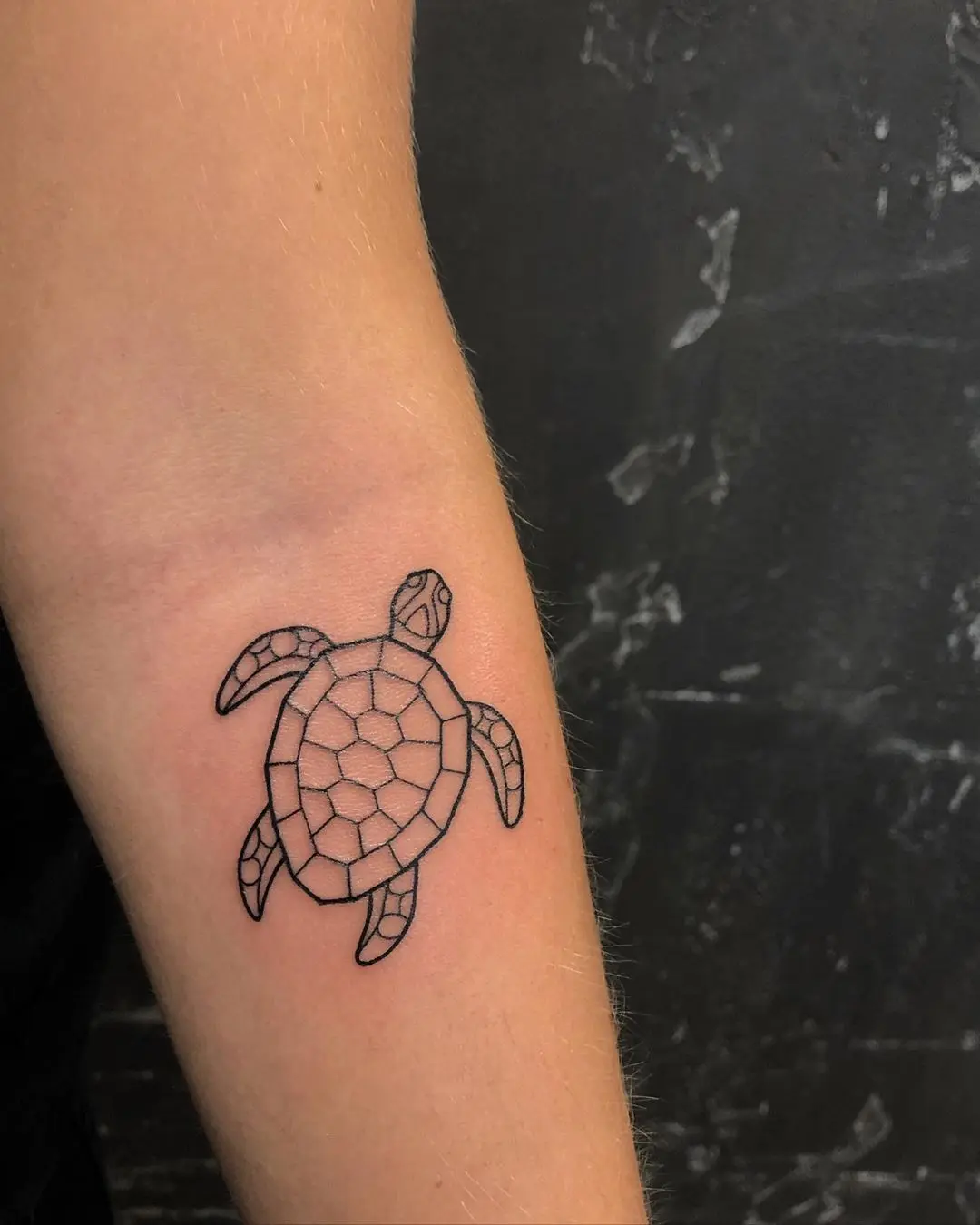 Galerías de Tatuajes Increíbles 13 Abbie Underwood Tattoo 2020.08.26 Lil turtle for alice thank you 🐢🖤