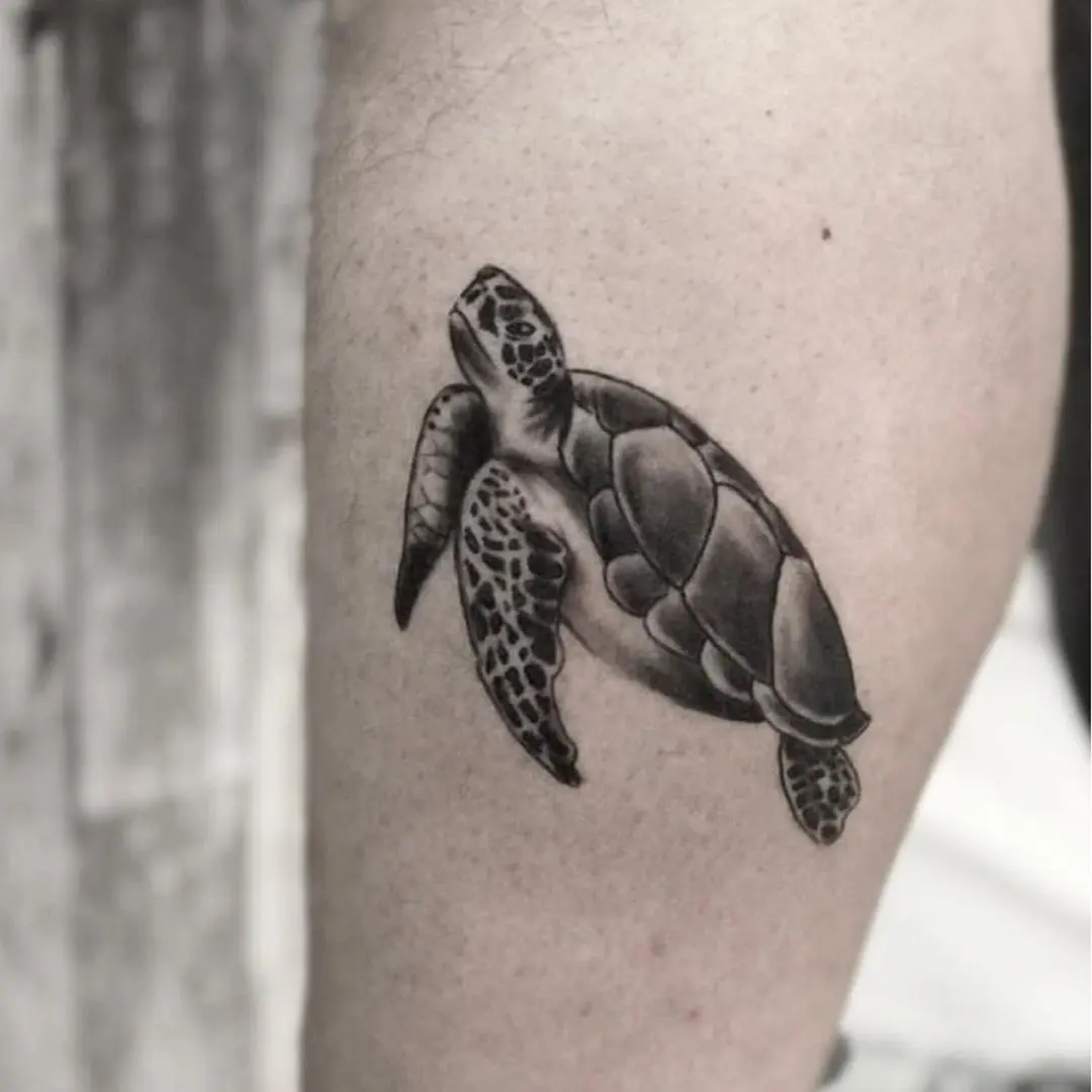 Galerías de Tatuajes Increíbles 36 Francesco 2020.09.12 • 🐢 • Info Tel. 0645429426 WhatApp 3271706904 ink blackwork tattoo romet