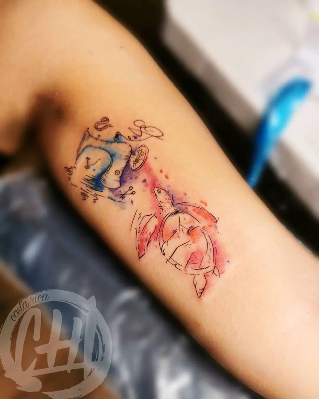 Galerías de Tatuajes Increíbles 63 Ochi 2020.09.12 Detalle tipo sketch en acuarela 🐢🧵🎨 . . Cotizaciones y citas al 📲 87057810 .