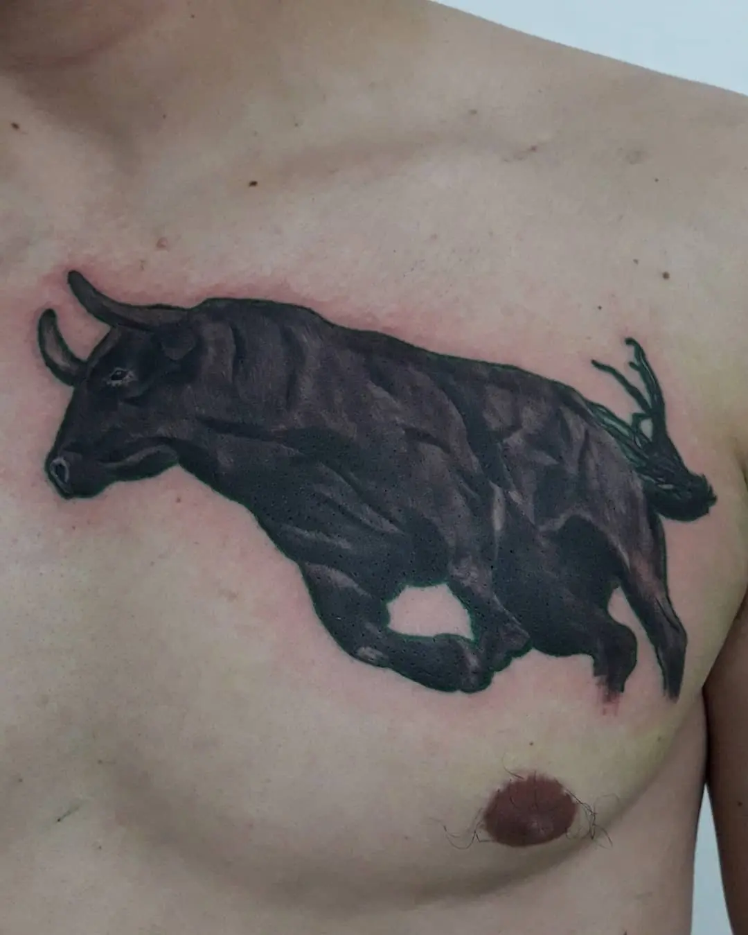 👽Eric Zbinden 👽 ZBN INK💉 2020.10.11 1 of 2 Toro. zbnink tattoos tatuajes tatuagem blackandgreytattoo toro bulltattoo