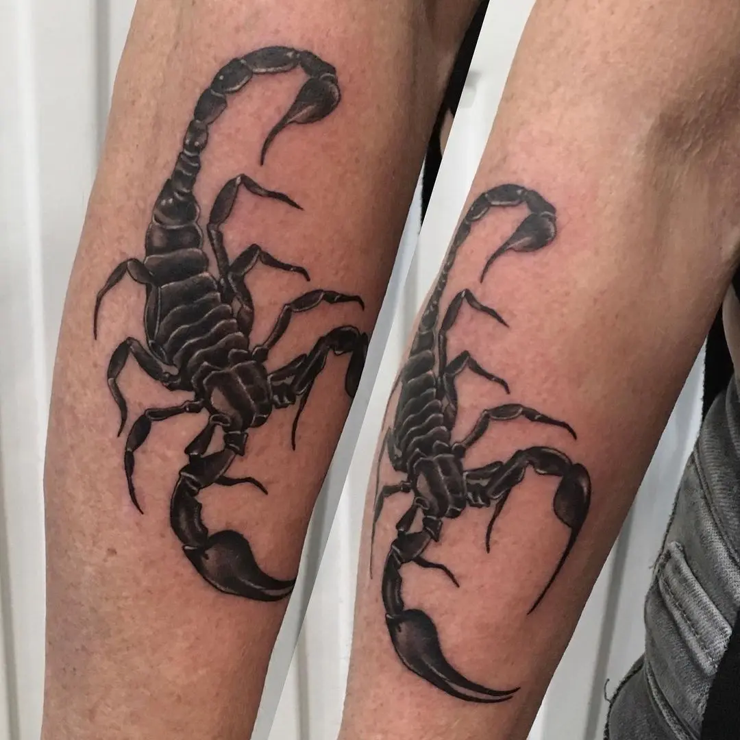 Galerías de Tatuajes Increíbles 9 Asgard Tattoo Studio 2020.12.12 3 of 3 🦂✍️ scorpion scorpiontattoo animaltattoo tattoo tattooart tattooed ink