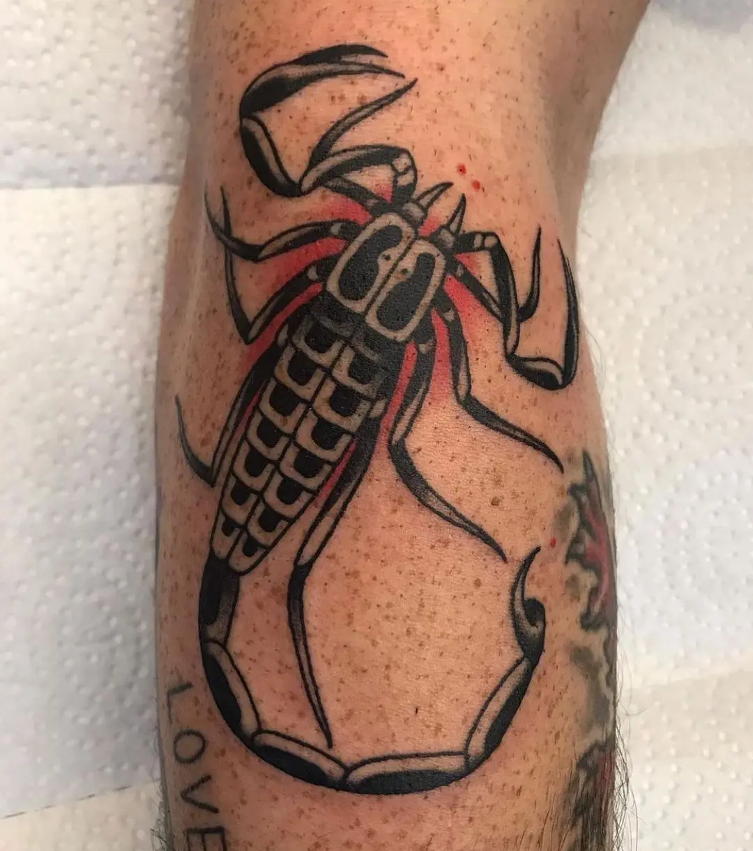Galerías de Tatuajes Increíbles 14 CANADIAN TRADITIONAL 2020.12.13 Scorpion 🦂 done by @zuultattooer out of @theberlintattoo in Kitchener ONT k