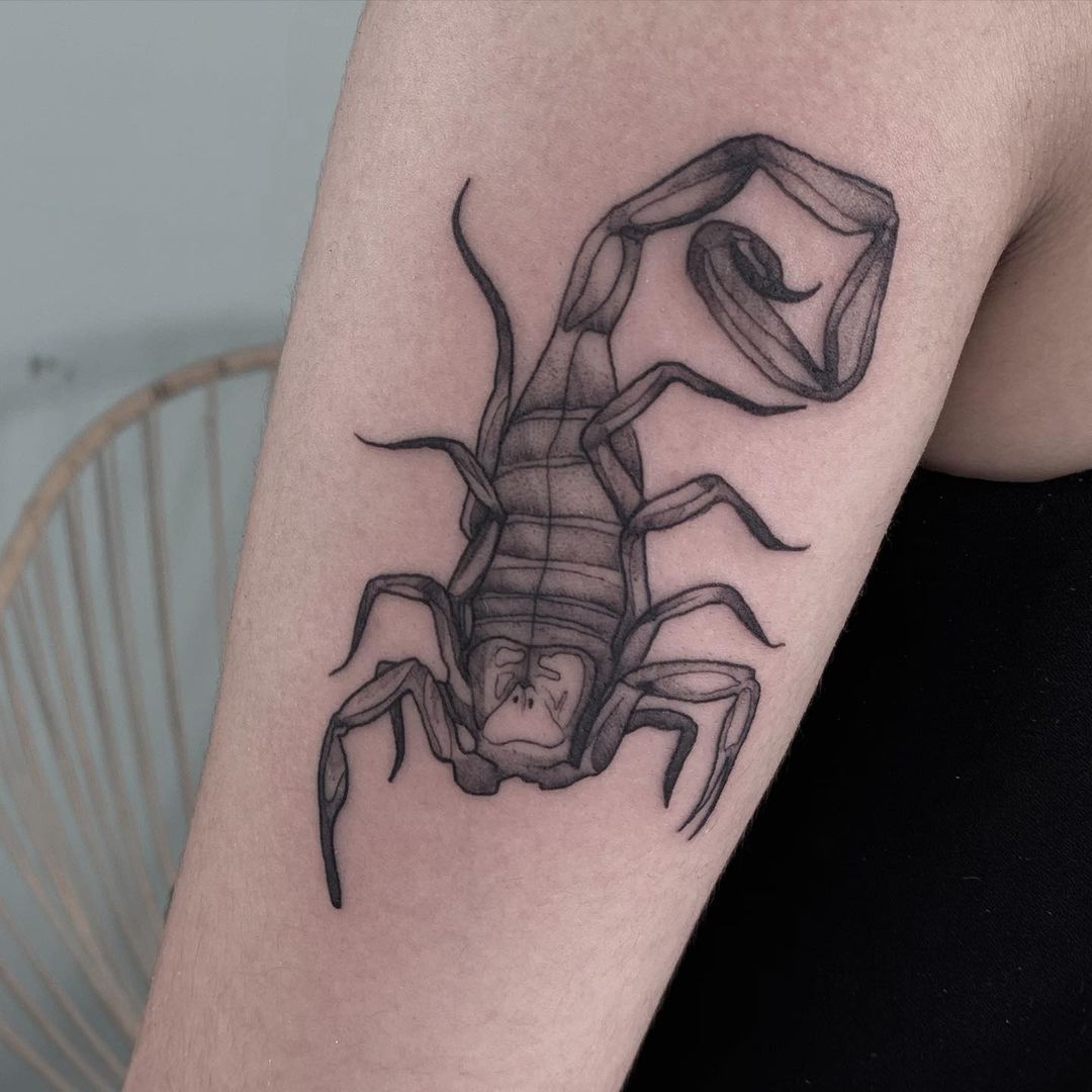 ≫ 59 Cool Scorpion Tattoos