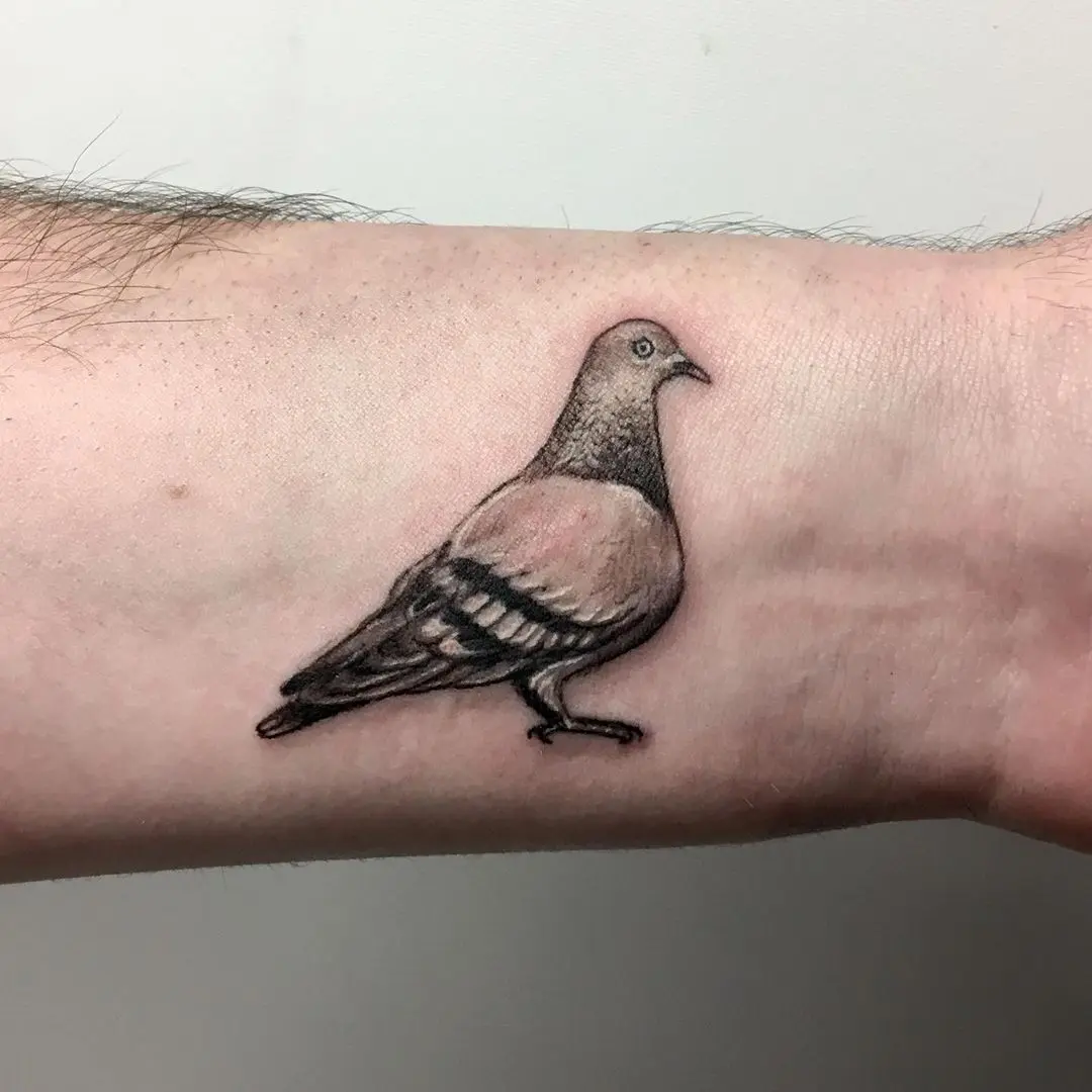 Galerías de Tatuajes Increíbles 15 LAUREL 2019.11.23 Lil pigeon walk in Thanks Connor 🐦 pigeontattoo tinytattoo 3rl birdtatto