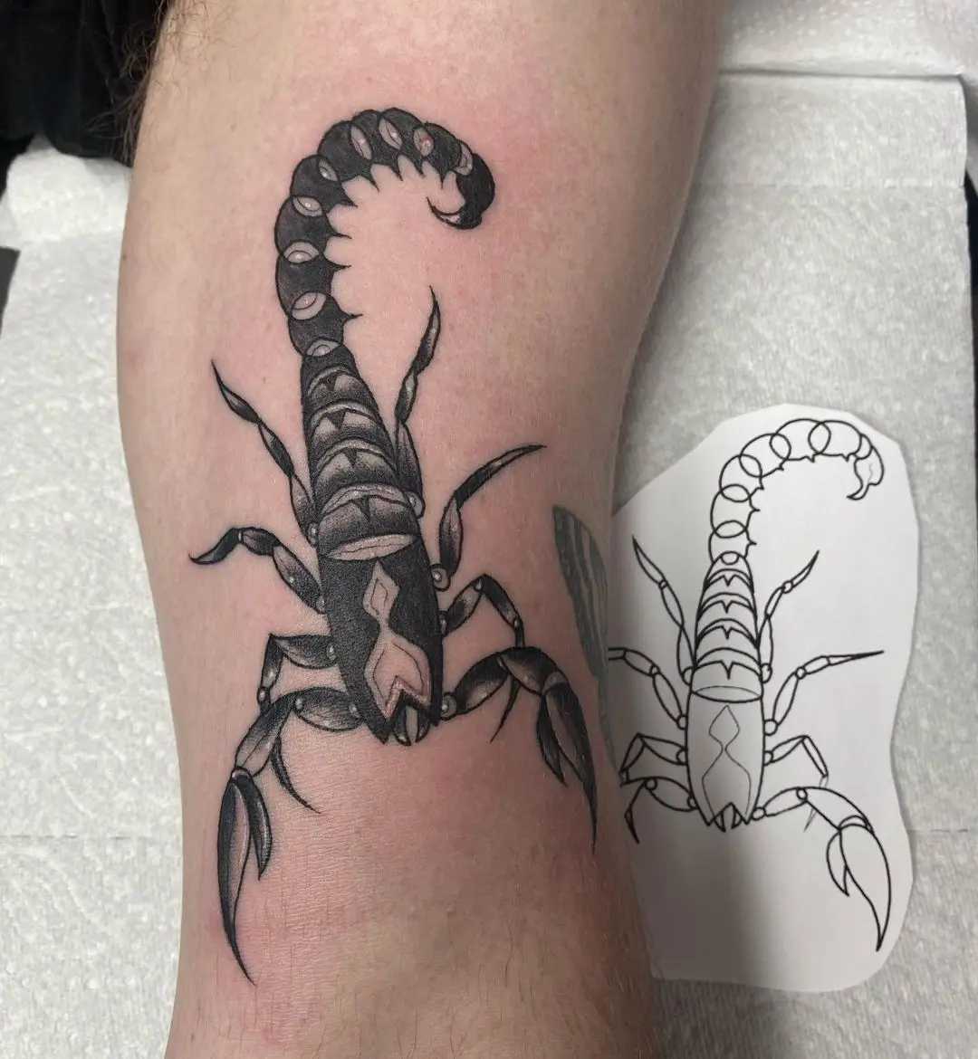 Galerías de Tatuajes Increíbles 37 escorpion tatuaje