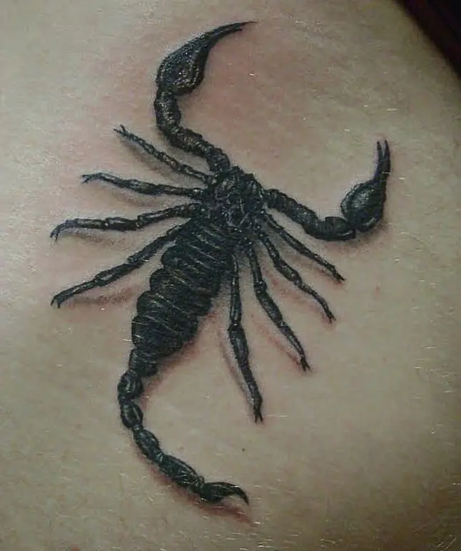 Galerías de Tatuajes Increíbles 44 SPAGNOLLO TATTOO 2020.12.11 ⚜️A TINTA NO LUGAR CERTO⚜️ Orçamento pelo WhatsApp 👉🏼 16 9938 73918