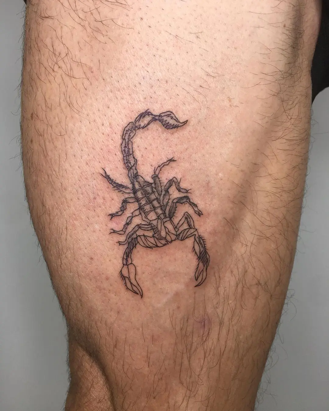 Galerías de Tatuajes Increíbles 49 The Golden tattoobarber 2020.12.12 2 of 2 Alacrán en 8cm por @carlotacobas 🕸 desliza para ver más de cerca . . . . . t
