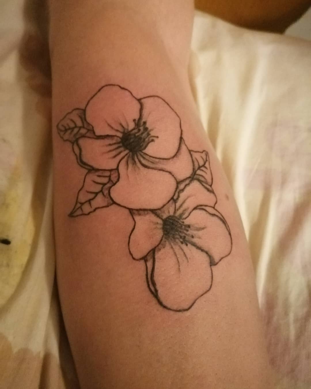49 Apple Blossom Tattoos Los Mejores Tatuajes 49 Apple Blossom Tattoos Los Mejores Tatuajes