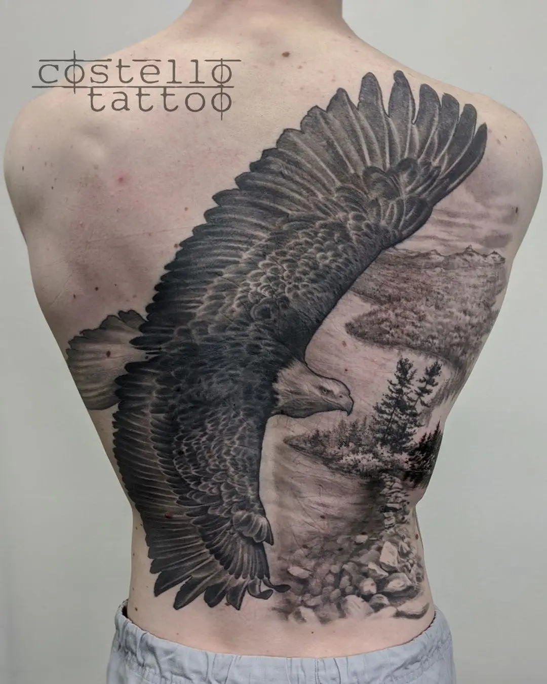 Incredible Tattoo Galleries 6 2021.03.19 🦅 @costellotattoo realismtattoo realism realistictattoo blackandgreytatto