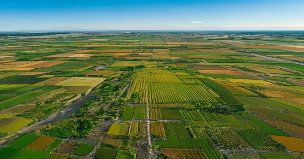 Concentración parcelaria: transformación agraria en Valladolid 21 Aerial view of a vast agricultural landscape in Valladolid, Spain, showing a mosaic of large rectangular fields with green and golden crops, separated by dirt roads and irrigation channels, under a cl