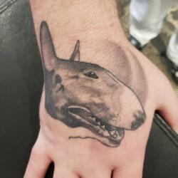 Incredible Tattoo Galleries 2 4031316126