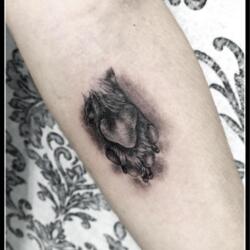 Incredible Tattoo Galleries 5 2400297889