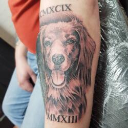 Incredible Tattoo Galleries 6 2785073889