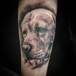 Incredible Tattoo Galleries 20 2437109553