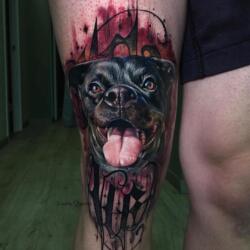 Incredible Tattoo Galleries 9 2837464097