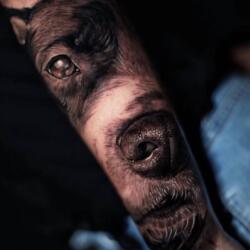 Incredible Tattoo Galleries 12 2484804467