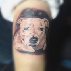 Incredible Tattoo Galleries 17 319823157