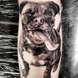 Incredible Tattoo Galleries 19 2417397541