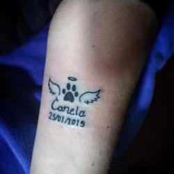 Incredible Tattoo Galleries 22 1079903358