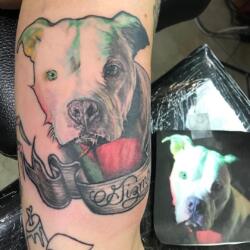 Incredible Tattoo Galleries 23 3615289591