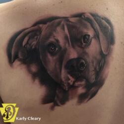 Incredible Tattoo Galleries 26 2760661584