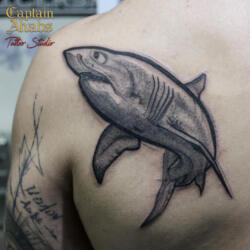 Incredible Tattoo Galleries 3 534935574