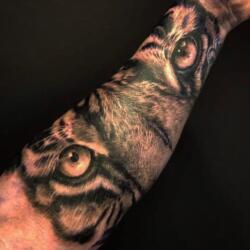 Incredible Tattoo Galleries 9 341223480