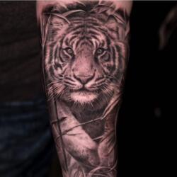 Incredible Tattoo Galleries 18 4022093185