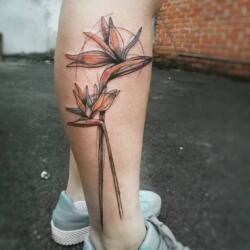 Incredible Tattoo Galleries 19 1515764528