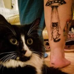 Incredible Tattoo Galleries 30 650578642