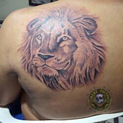 81 Majestic Lion Tattoos 19 3024453734