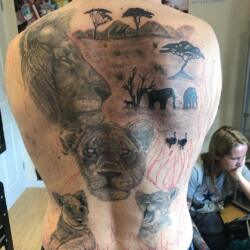 81 Majestic Lion Tattoos 27 1832036612