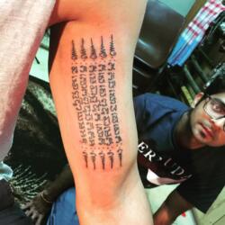 3537112533