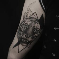 Incredible Tattoo Galleries 1 1735615824