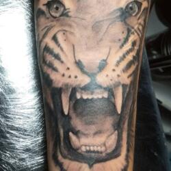 Incredible Tattoo Galleries 2 2278948874