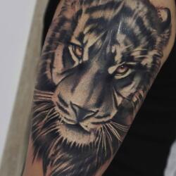 Incredible Tattoo Galleries 4 1922771681