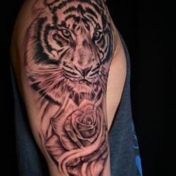 Incredible Tattoo Galleries 5 2711215163